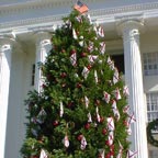 Patriotic Tree at Alabama State Capitol