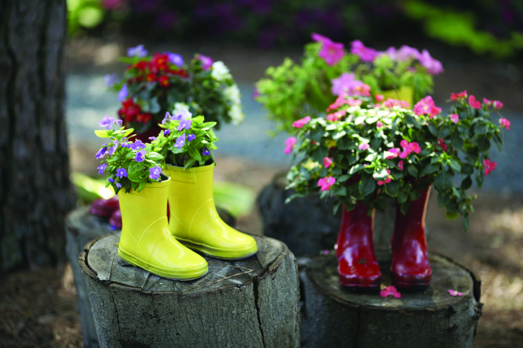 Pulaski Heights Elementary School Gardening class flowers in rain boots