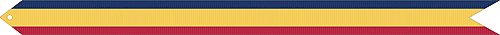 Presidential Unit Citation Streamer (Navy) x 2