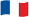 Brave France flag