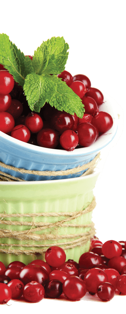 Cranberries spilling out of bowls