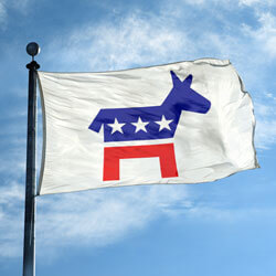 Democrat Republican House Divided Flag (3 ft x 5 ft)