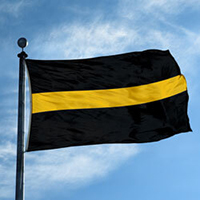 Thin Gold Line Flag