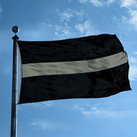 Thin Silver Line Flag