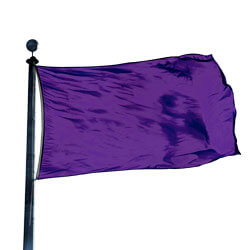 Color Flag: Pansy | FlagandBanner.com