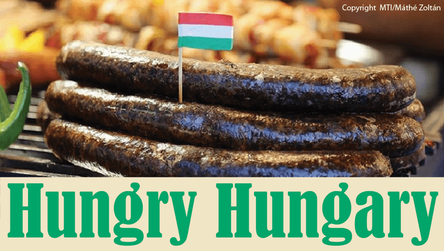 Hungarian sausages with a Hungary flag