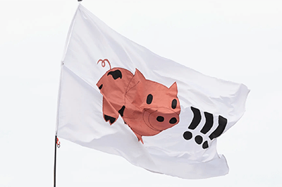 Papa’s got a brand new pig flag Photograph: David Levene/The Guardian