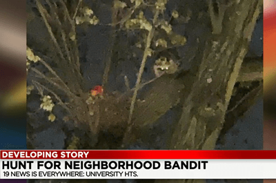 Unlikely bandit takes couples Pride flag from University Heights home. (WOIO)