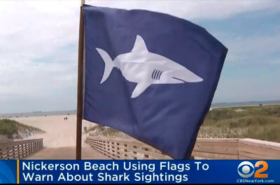 Nickerson Beach flying a purple flag with a shark to warn of sharks in the water (CBS New York 2)