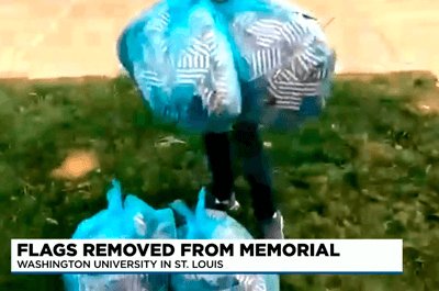 A video of a Washington University student removing thousands of flags on campus has gone viral, attracting national attention. / KMOV4