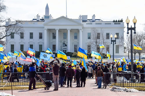 Crowds gathered in protest in Washington D.C. (Andriy Blokhin)