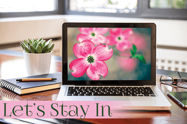 A pink flower viewed on a laptop